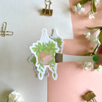 Pothos Hanging Plant Vinyl Sticker